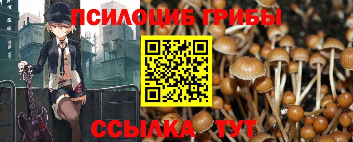 Псилоцибиновые грибы MAGIC MUSHROOMS  Вход с VPN  Псилоцибиновые грибы мухоморы  Алейск 